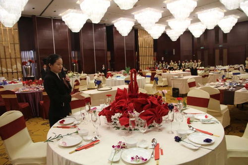 服务之美，匠心之魂——探访酒店学院会展服务专业风采